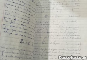 imagem_16
