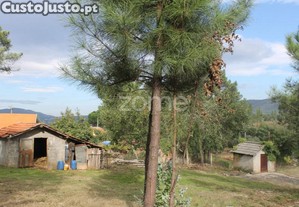 Terreno Misto Em Lugar De Moreira _ Melres |...