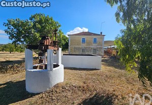 Quinta T3 em Torres Novas (Santa Maria, Salvador e Santiago) de 244 m²