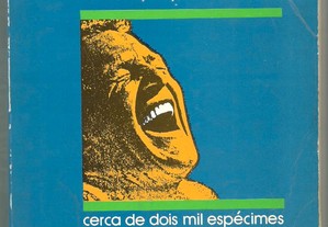 A. Machado Guerreiro / Anedotas - Contribuição para um Estudo (1.ª ed./1986)
