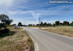 imagem_11