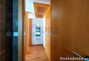 imagem_11