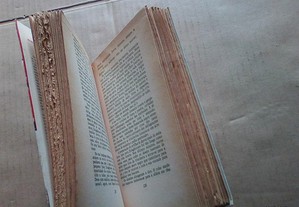 imagem_6