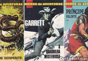 imagem_3