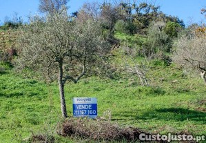 Terreno Rústico No Zambujal, Freguesia De...