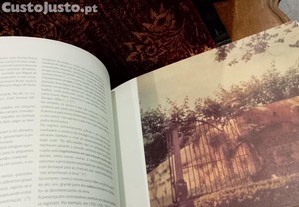 imagem_12