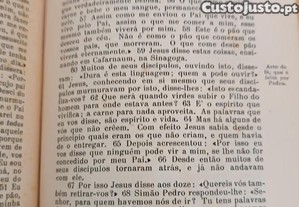 imagem_5