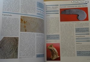 imagem_5
