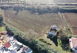 Terreno em São João da Ribeira e Ribeira de São João de 503,00 m²