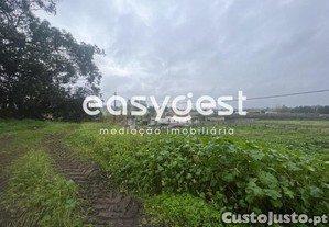 Quinta Com 15Ha Com Casa Térrea, Perto Do...
