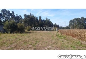 Terreno E Eucaliptal Com Viabilidade Para...