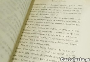 imagem_5