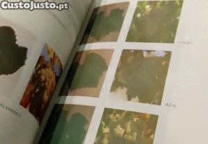 imagem_3