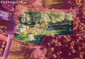 Terreno Urbano De 3053M² Com Ruína