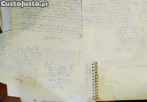 imagem_13