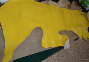 imagem_8