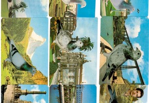 Coleção completa e numerada de 18 calendários sobre Columbofilia 1989