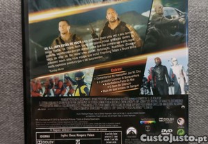 imagem_8