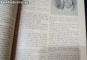 imagem_5