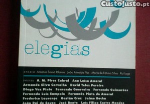 Relâmpago/27-Revista de Poesia-Outubro 2010 (Elegias)