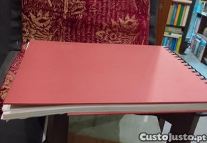 imagem_12