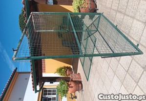 imagem_3