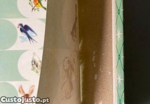 imagem_4