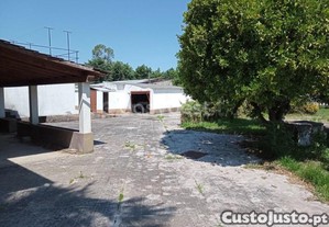 imagem_5