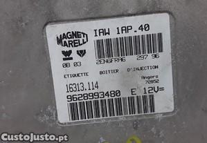imagem_3