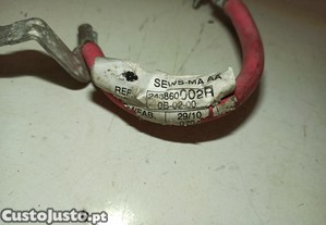 imagem_1