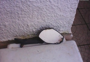 imagem_6