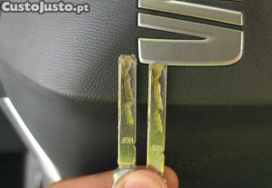 imagem_20