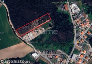 Terreno Com 8000 M2 Para Construção - São Romão...