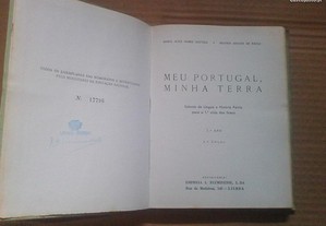 imagem_4