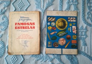 imagem_6
