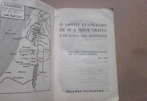 imagem_3