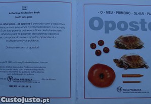 imagem_2