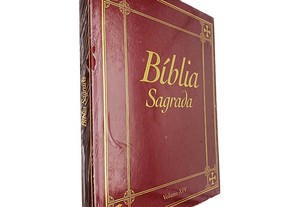Bíblia sagrada (Volume XIV)