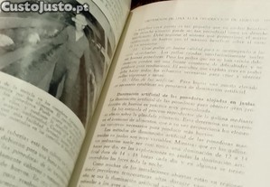 imagem_7