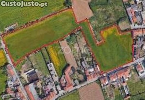 Terreno Misto Com 18480 M2 Em Lavra,...