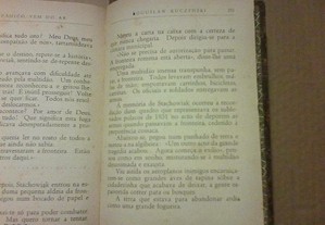 imagem_8