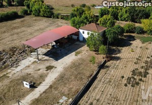 imagem_21