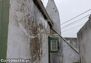 imagem_11