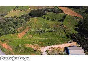 Armazém Inserido Num Terreno Misto Com 15000M2.