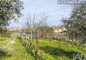 imagem_29