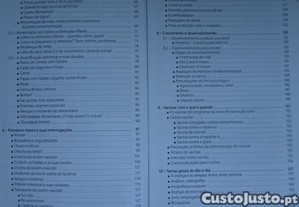 imagem_7