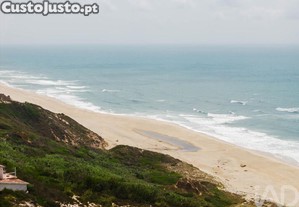 imagem_23