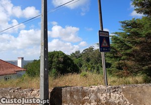 imagem_9