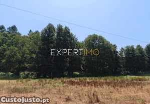 imagem_19