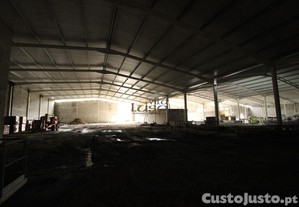 imagem_4